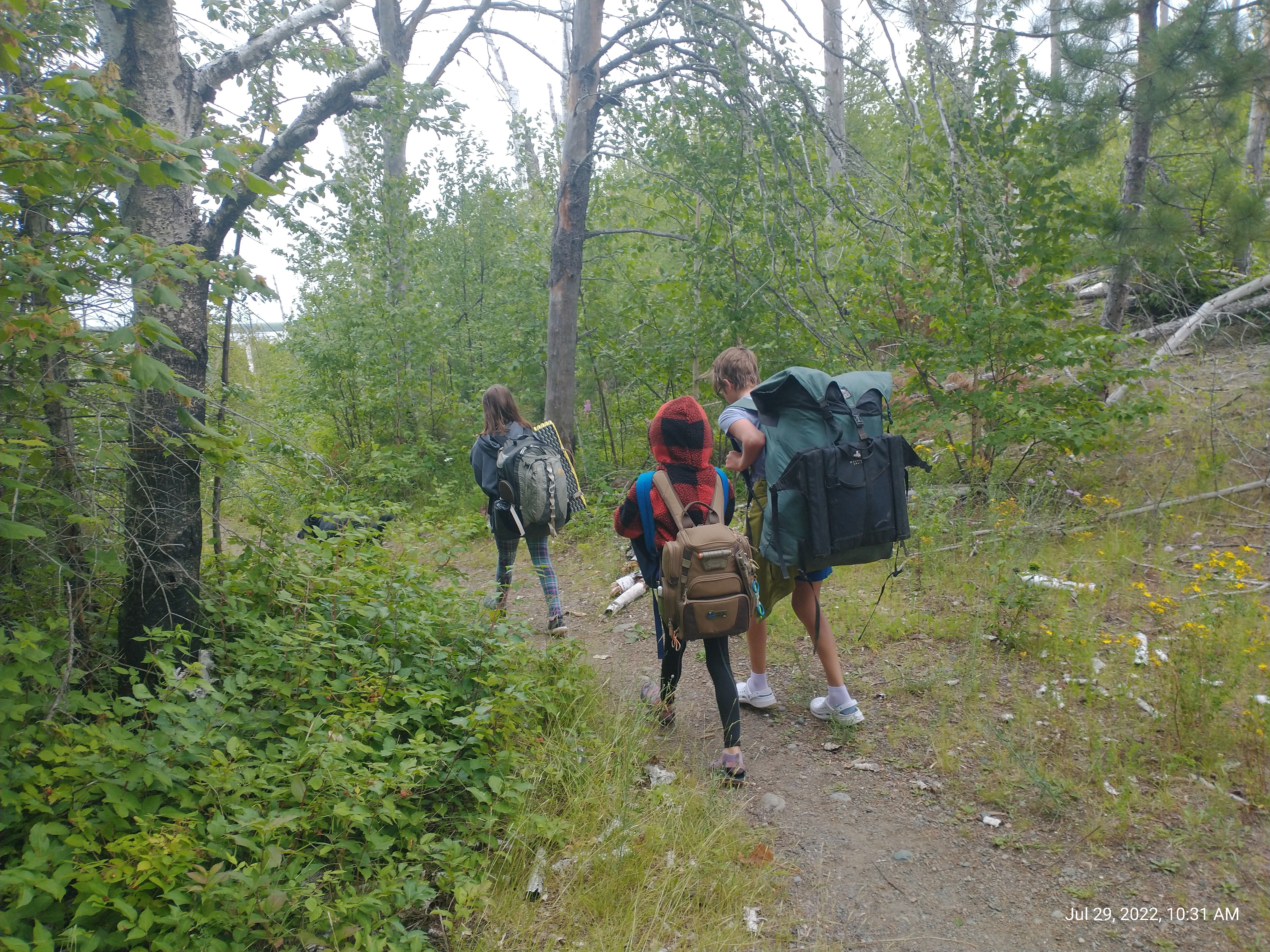 children carrying packs on portage from parking lot to lake isabella in the boundary waters canoe area BWCA